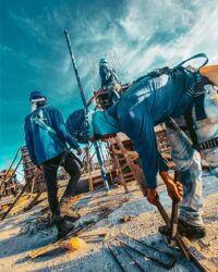 Tortor neque adpiscing diam